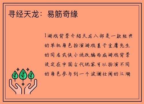寻经天龙：易筋奇缘
